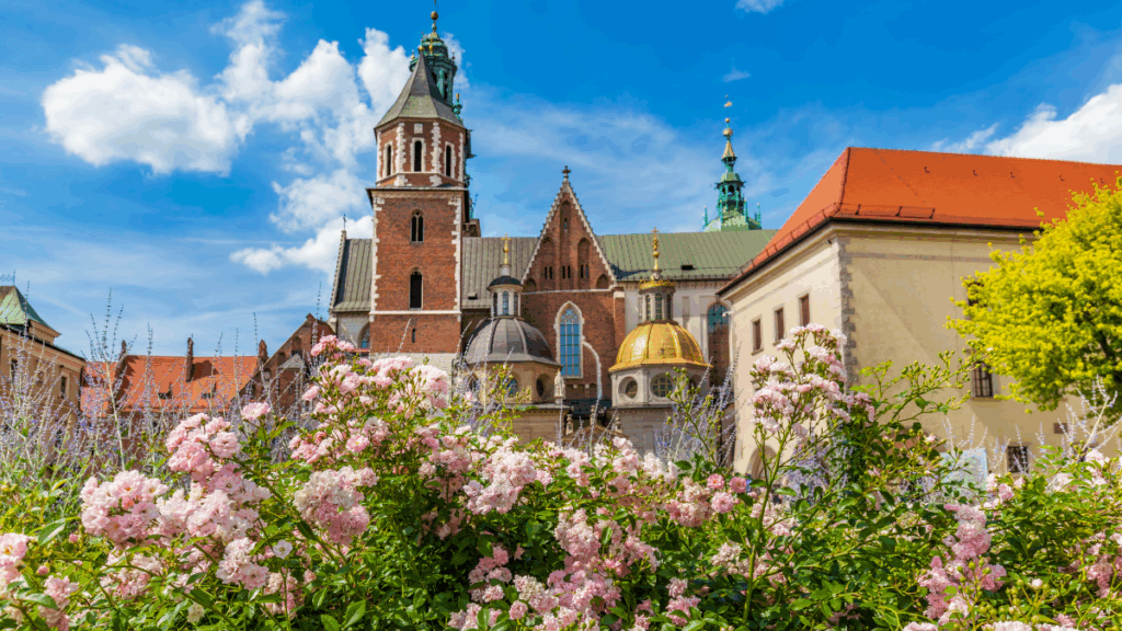 فرصة تطوع لمدة 12 شهر في بولندا