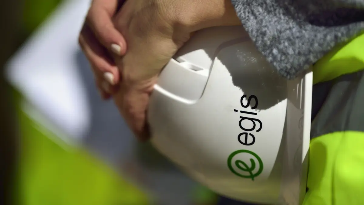 وظائف مجموعة إيجيس