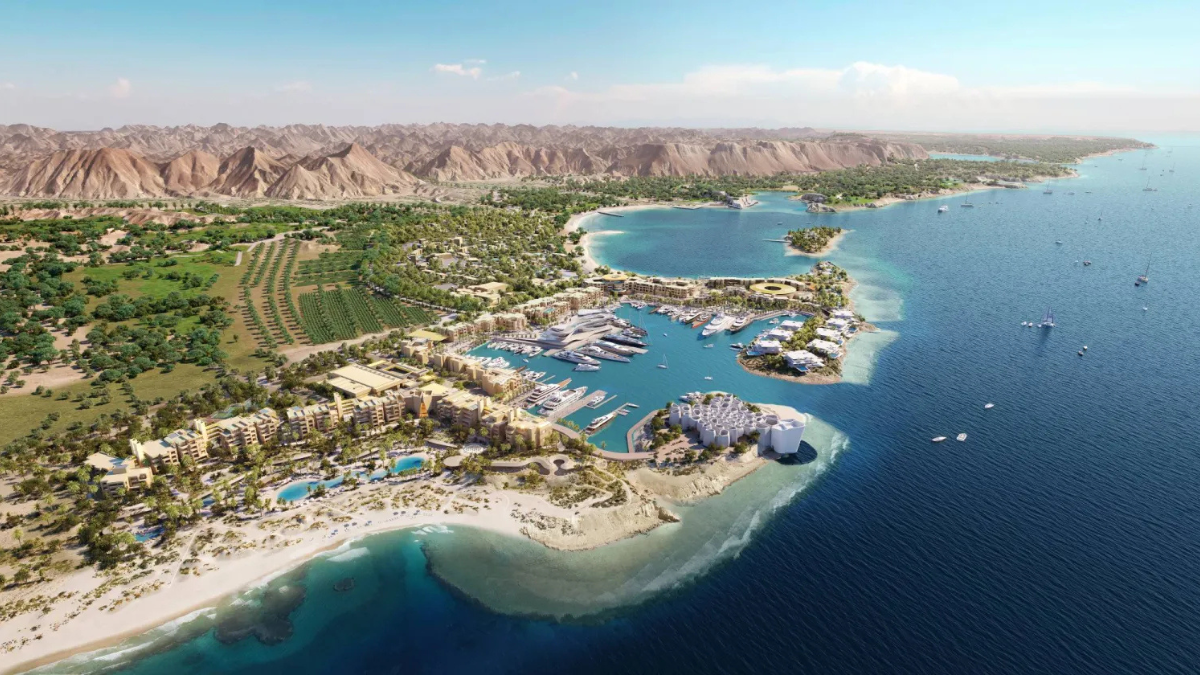 شركة البحر الأحمر الدولية في السعودية