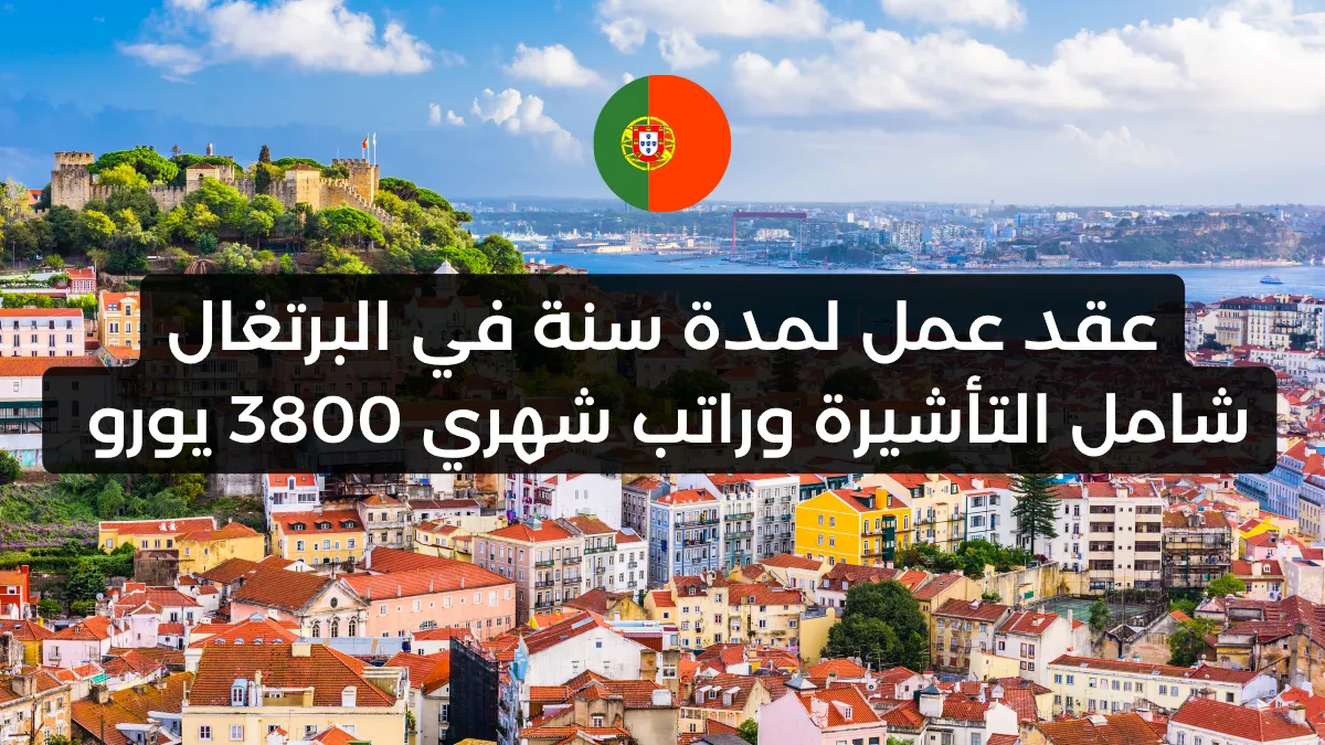 عقد عمل لمدة سنة في البرتغال